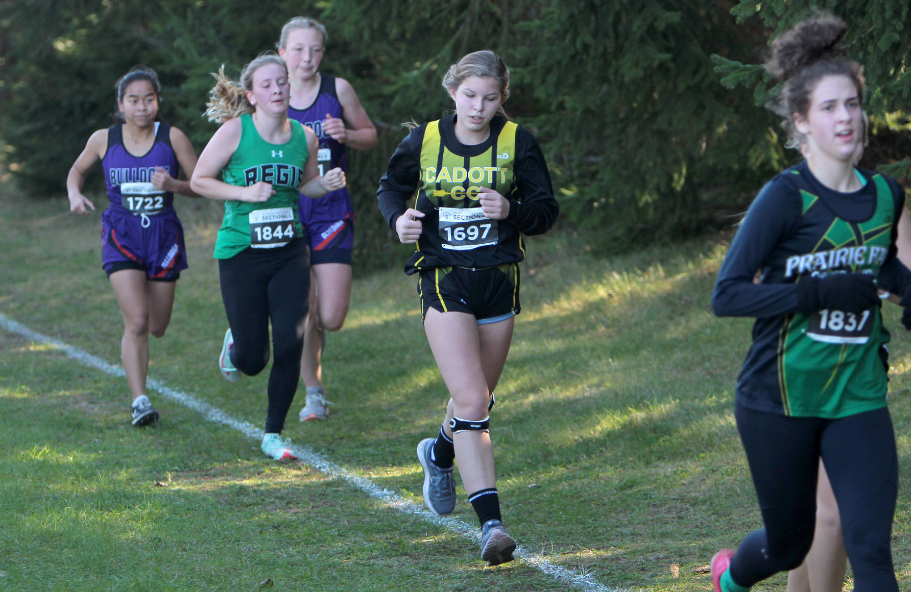 Division 3 Cross Country Sectionals in Boyceville 10-26-19